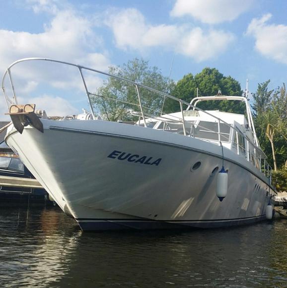 Eucala Motor Yacht Hotel East Molesey Kültér fotó